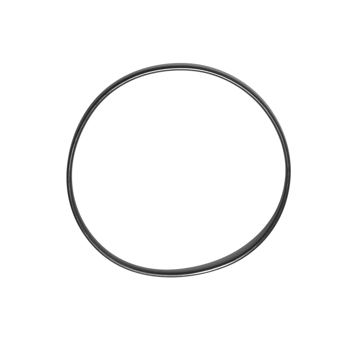 Watertight Box Spare O-Ring - 1 Liter